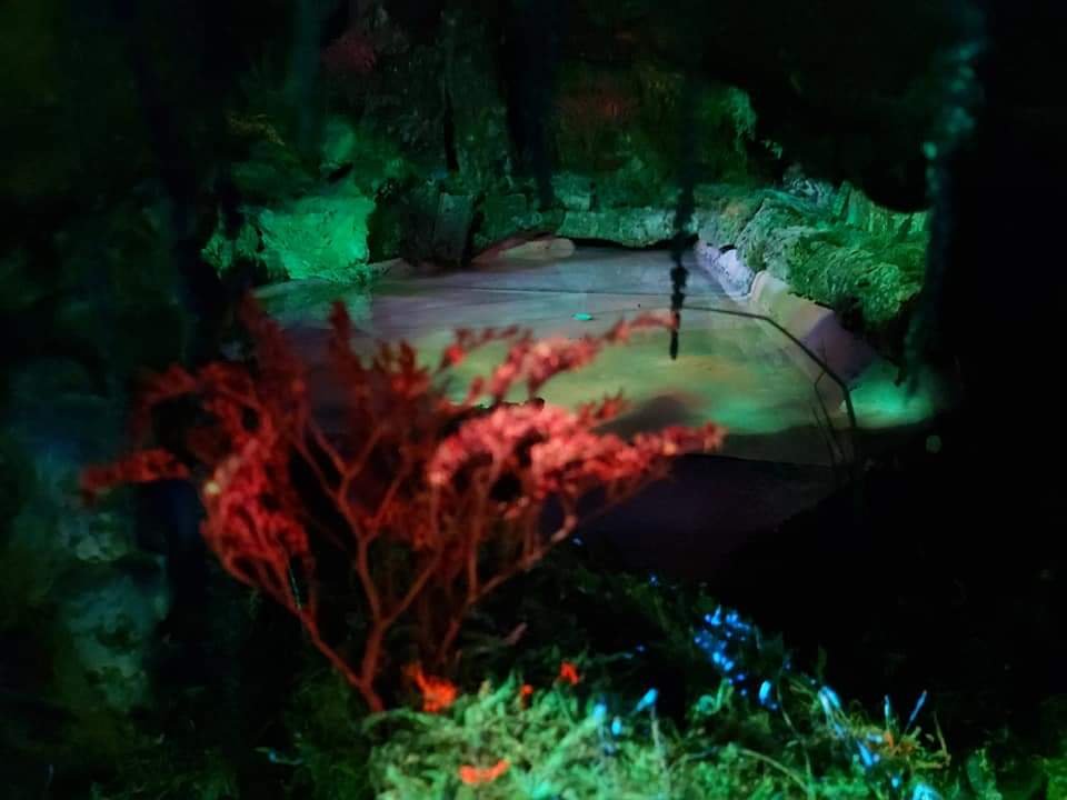 Avatar - Imagen 11